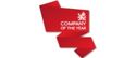CompanyOfTheYear-logo1 CompanyOfTheYear-logo1